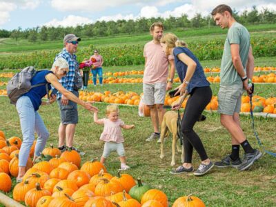 Simmons Farm Pumpkin Picking 05 81ffb648 0e92 4a16 91d5 2951cc30609f